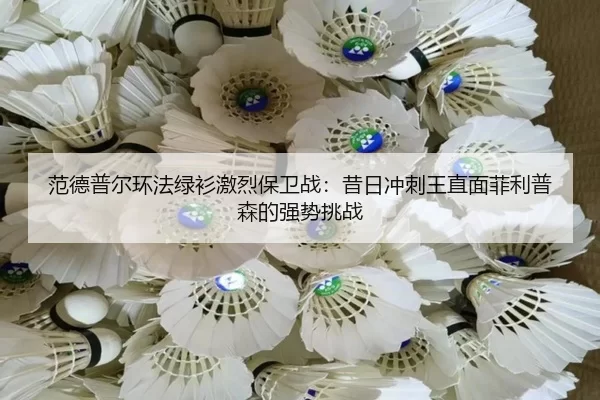 范德普尔环法绿衫激烈保卫战：昔日冲刺王直面菲利普森的强势挑战